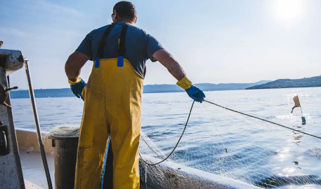 Exceptional fish sourcing - M&W Europe quality products